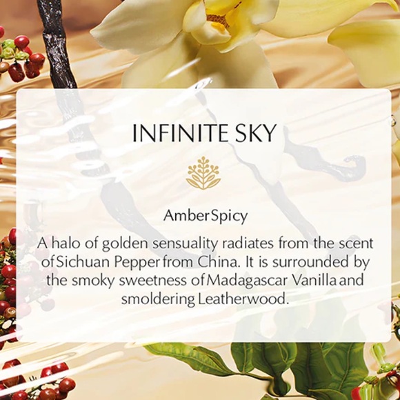 Estee Lauder Infinite Sky EDP Spray Travel Size 10ml / 0.34fl. Oz NEW - Picture 3 of 3